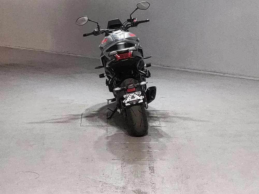 Suzuki GSX-S1000SR 2020, серебристый, фото 4