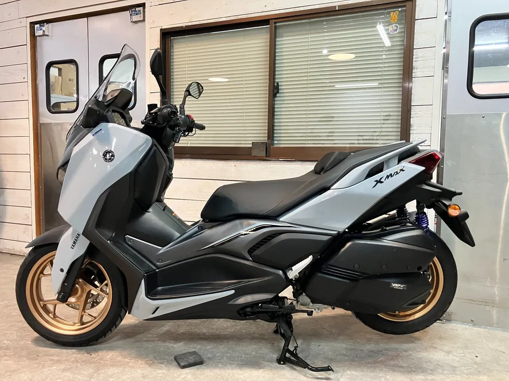 Yamaha X-Max250-2, серый, фото 2