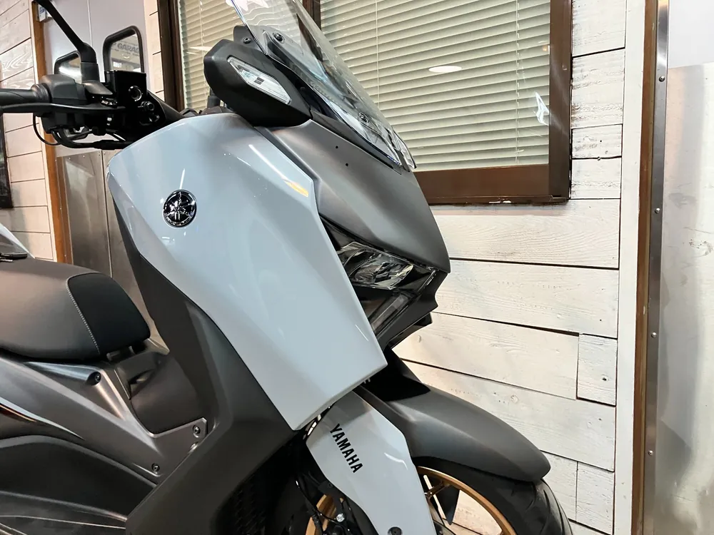 Yamaha X-Max250-2, серый, фото 17