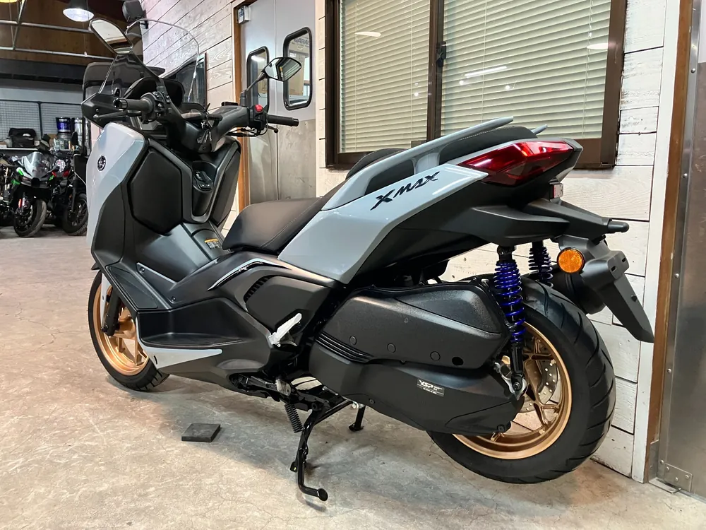 Yamaha X-Max250-2, серый, фото 9
