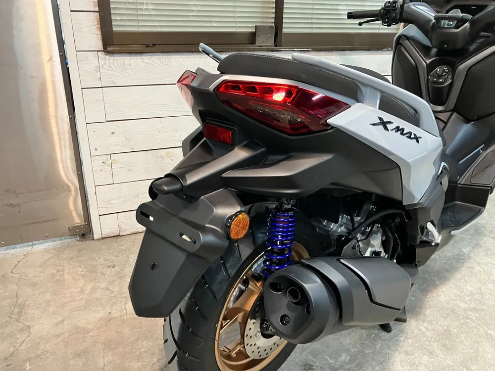 Yamaha X-Max250-2, серый, фото 10