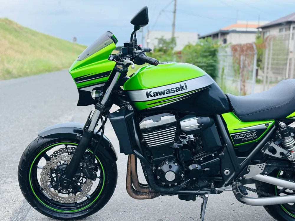 Kawasaki ZRX1200DAEG 2009, lime / black, фото 12