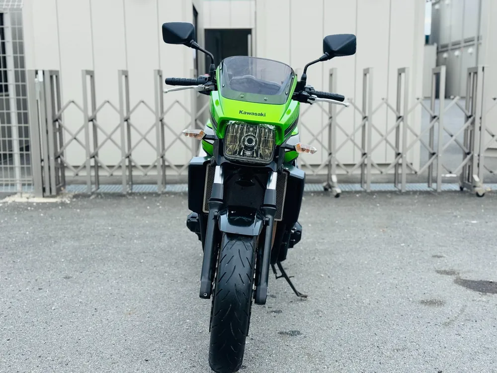 Kawasaki ZRX1200DAEG 2009, lime / black, фото 10