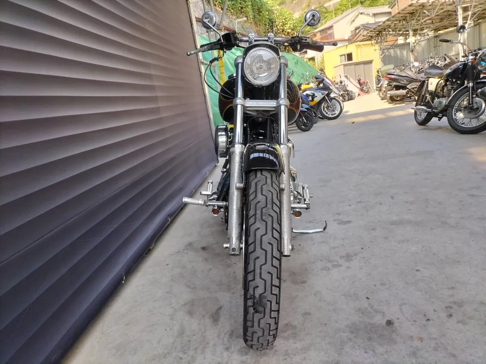 Harley-Davidson FXDL Low Rider 1999, фото 4