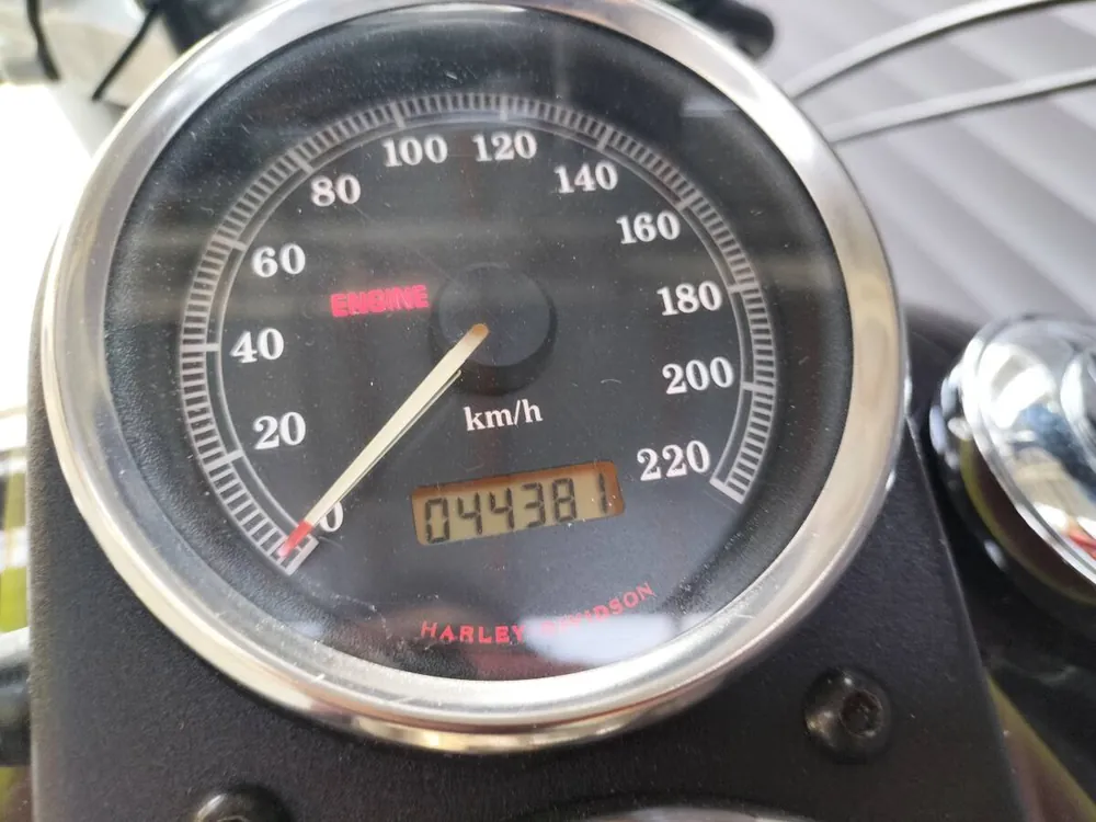 Harley-Davidson FXDL Low Rider 1999, фото 6