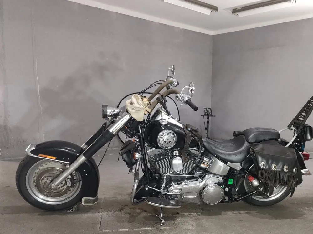 Harley-Davidson FLSTF1580 2008, чёрный, фото 2