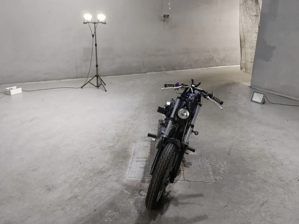 Kawasaki Estrella, фиолетовый, фото 3