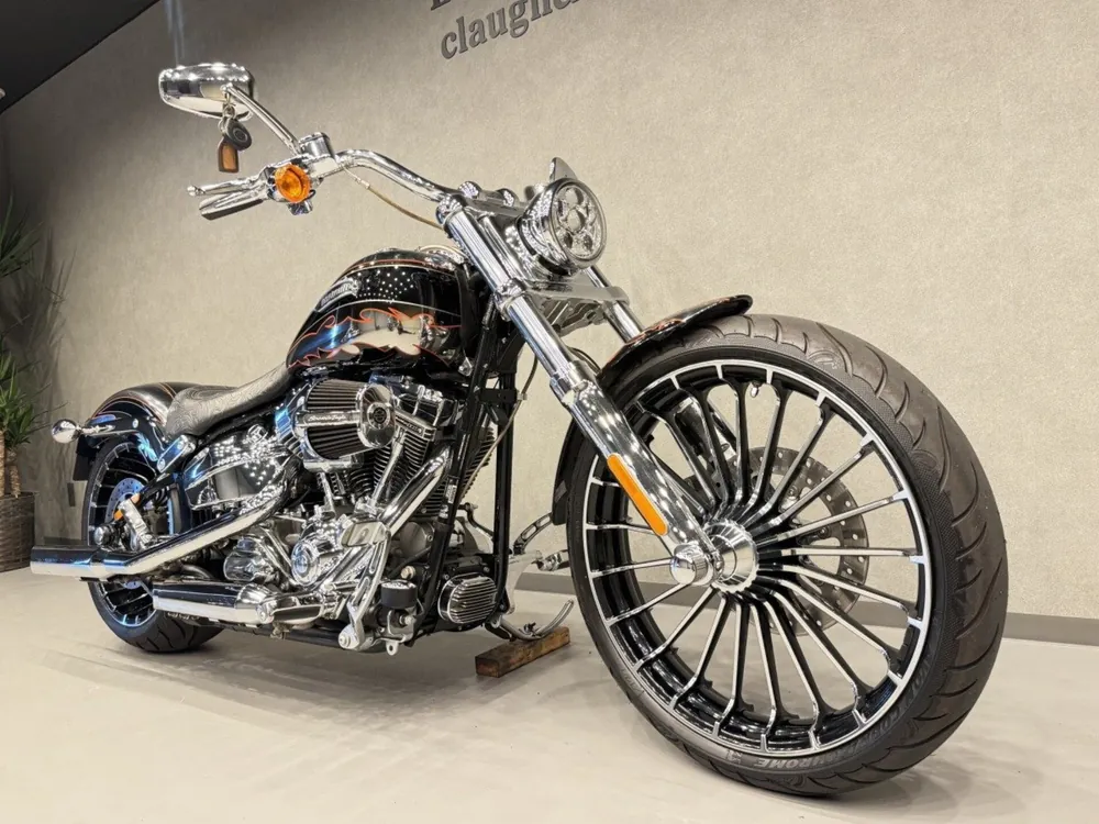 Harley-Davidson FXSB BREAKOUT CVO 2014, plating, фото 2