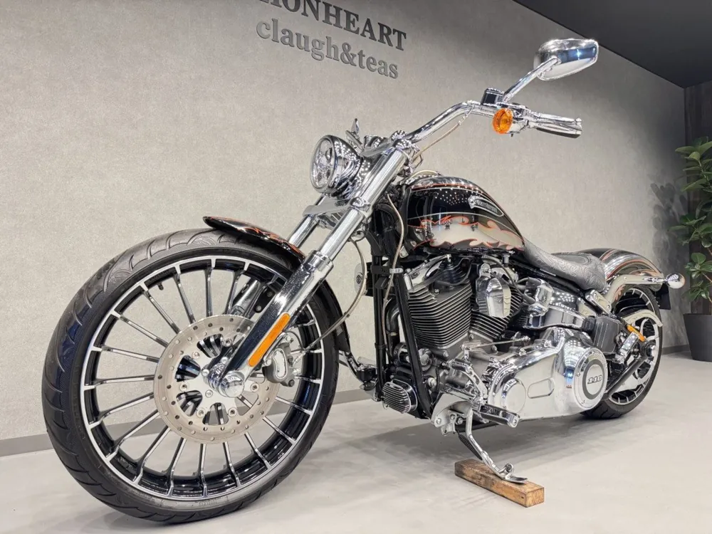 Harley-Davidson FXSB BREAKOUT CVO 2014, plating, фото 8