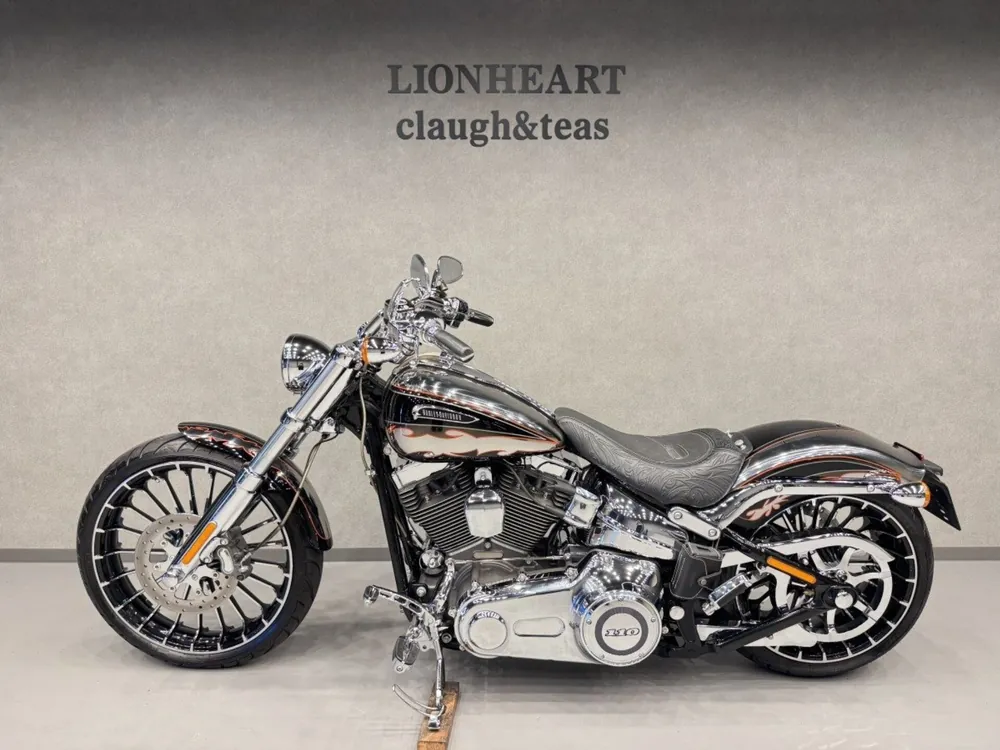 Harley-Davidson FXSB BREAKOUT CVO 2014, plating, фото 10