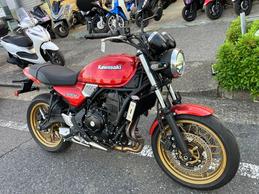 Kawasaki Z650RS 2025, w red, фото 4