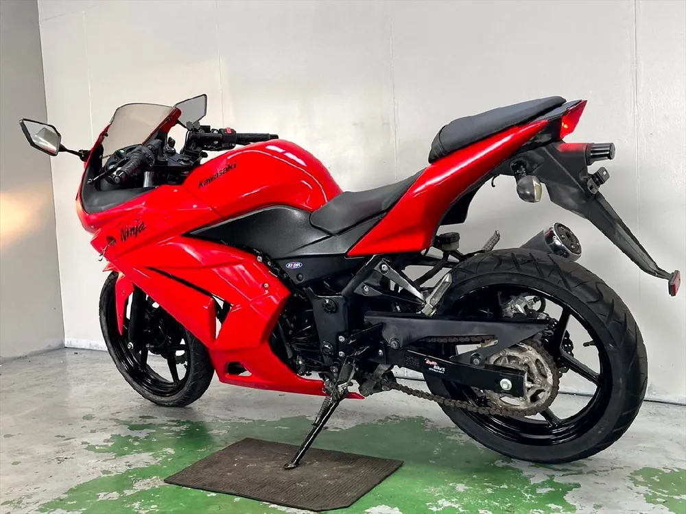 Kawasaki Ninja 250R 2012, фото 8