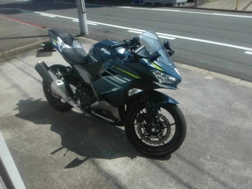 Kawasaki Ninja 400 2021, серый, фото 5