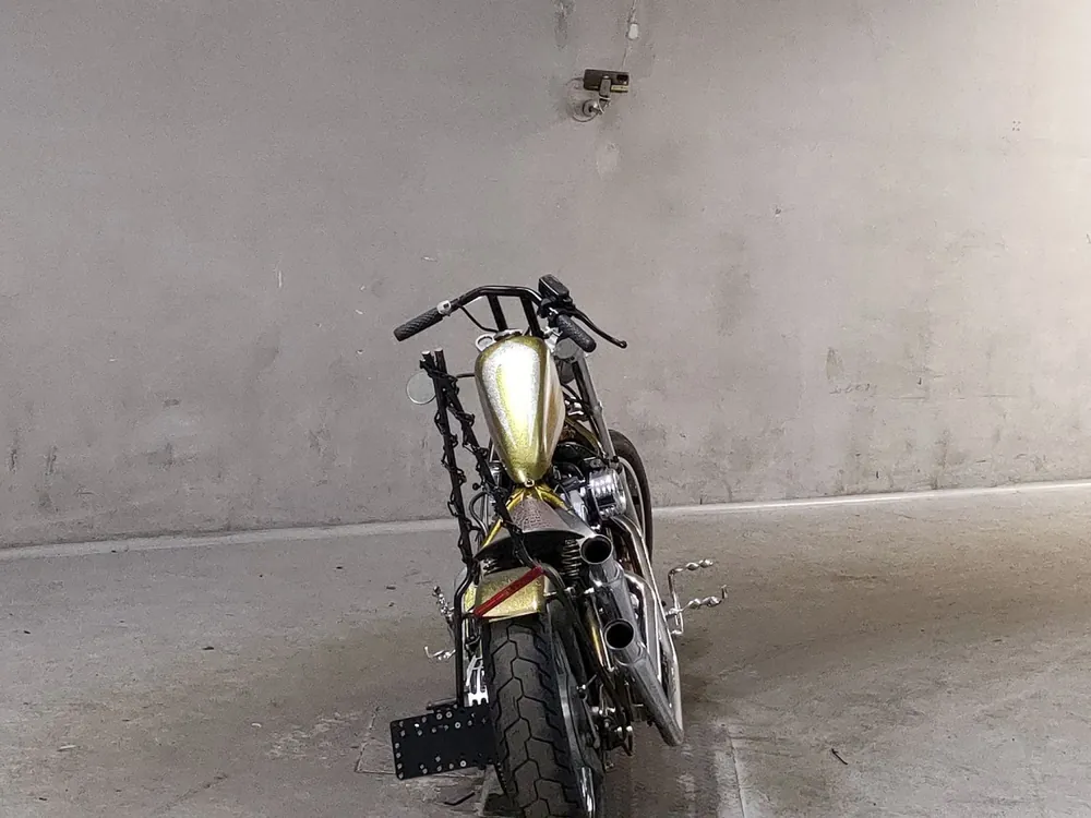 Kawasaki Vulcan 400 Classic 1995, золотистый, фото 4
