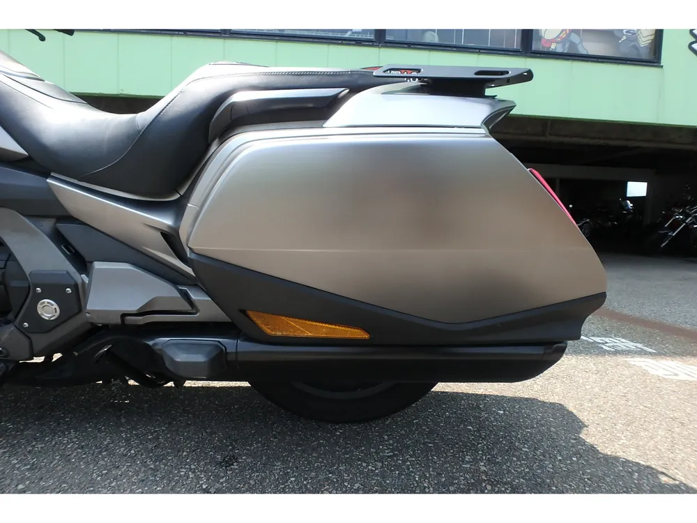 Honda GL1800 2018, серебристый, фото 13