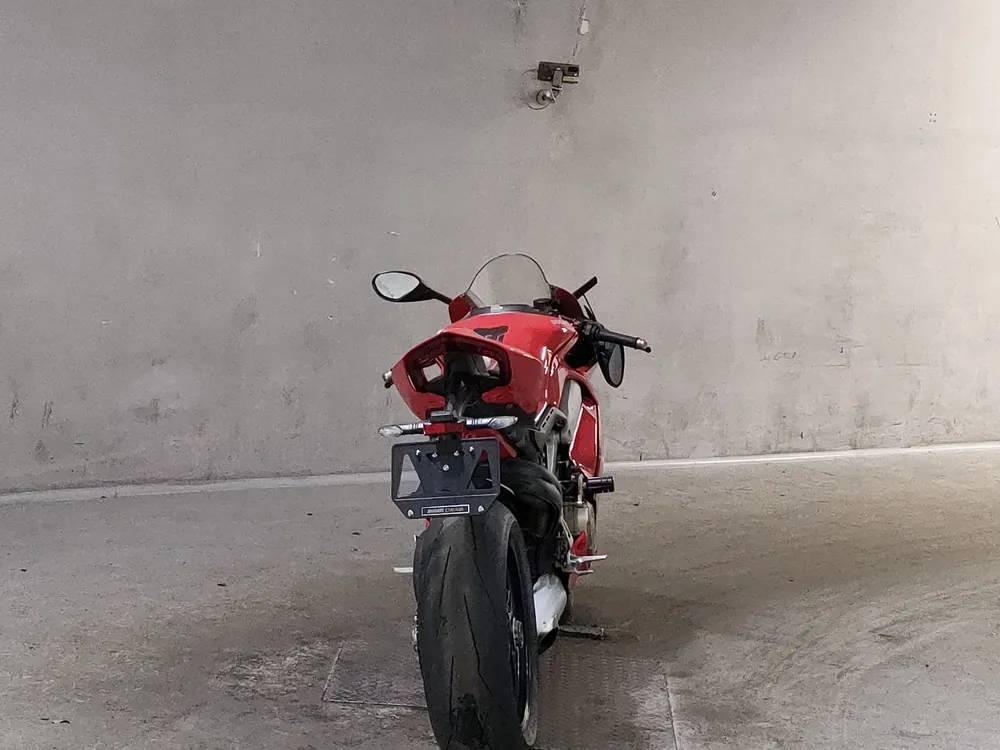 Ducati Paniga-Rev4S 2019, красный, фото 4