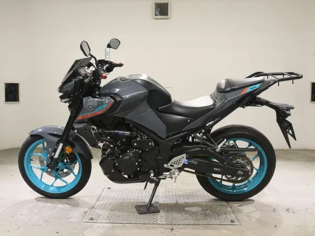Yamaha YZF-R25, серый, фото 2