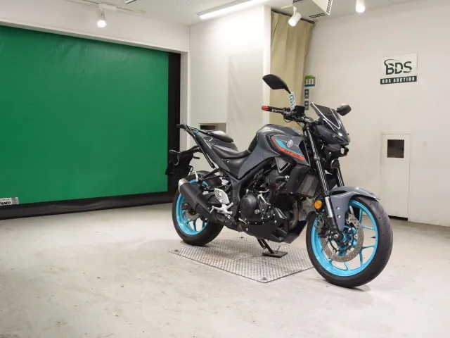 Yamaha YZF-R25, серый, фото 3