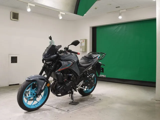 Yamaha YZF-R25, серый, фото 4