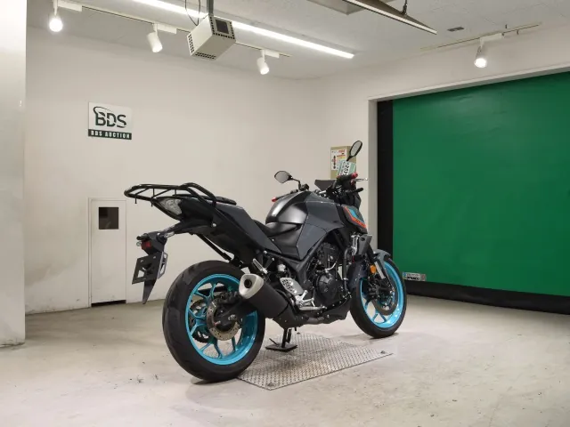 Yamaha YZF-R25, серый, фото 5