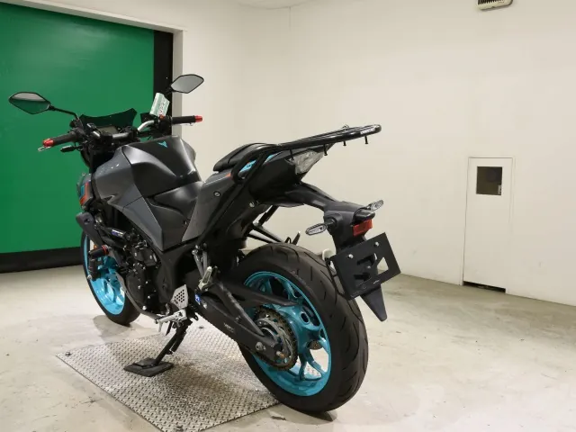 Yamaha YZF-R25, серый, фото 6