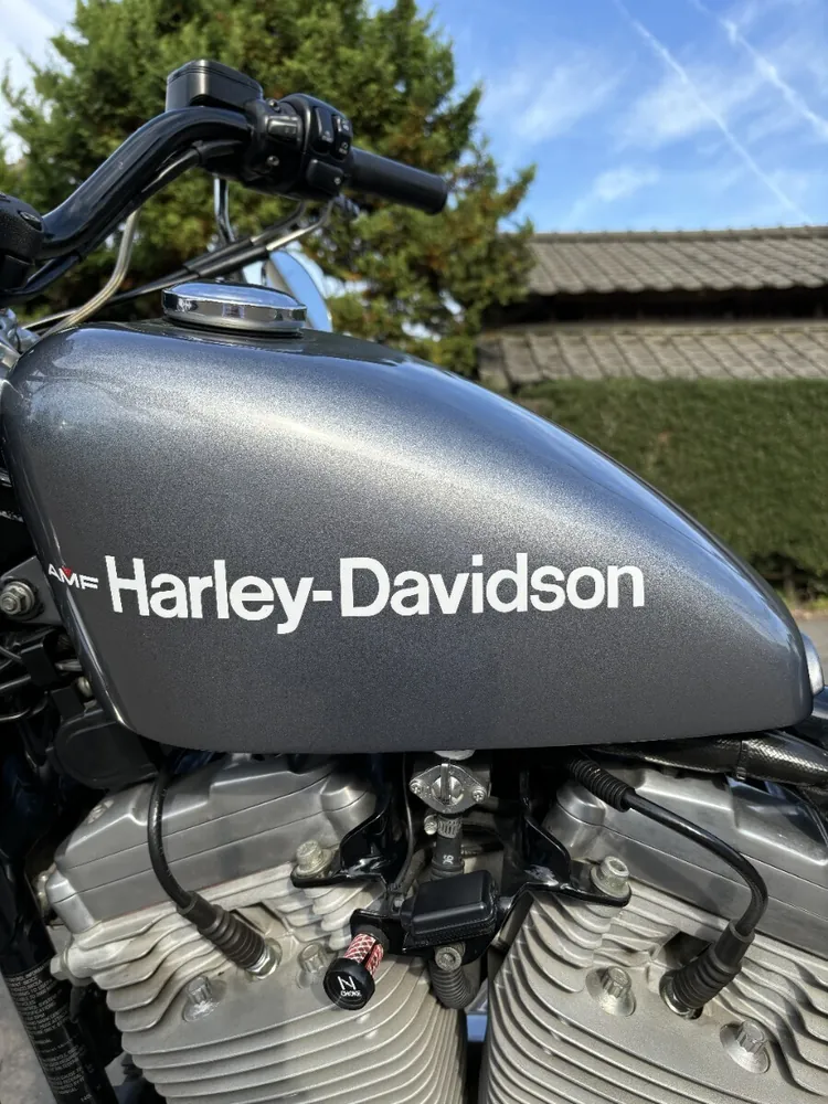 Harley-Davidson XLH883 2000, фото 8