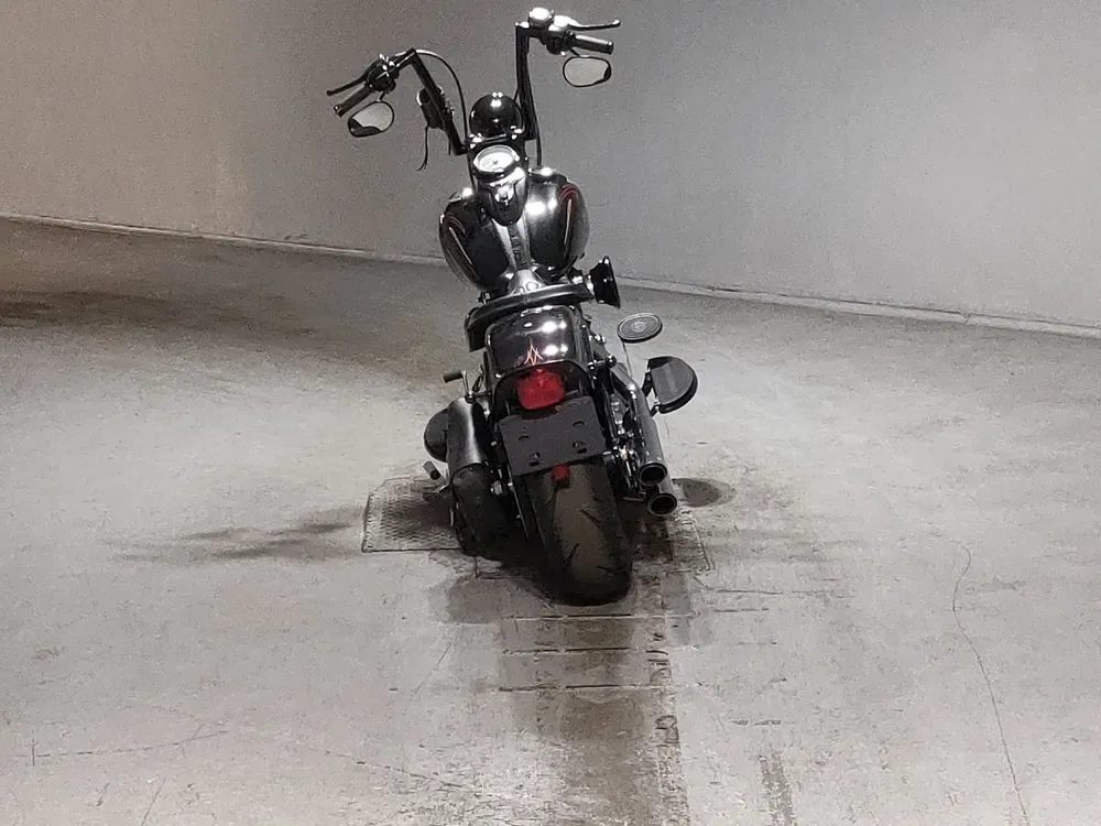 Harley-Davidson FLSTSB1580 2008, чёрный, фото 4
