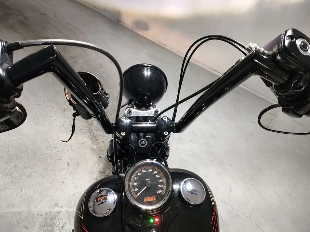 Harley-Davidson FLSTSB1580 2008, чёрный, фото 5