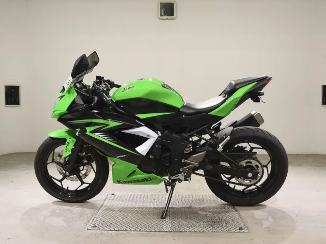 Kawasaki Ninja 250SL, black | green, фото 2