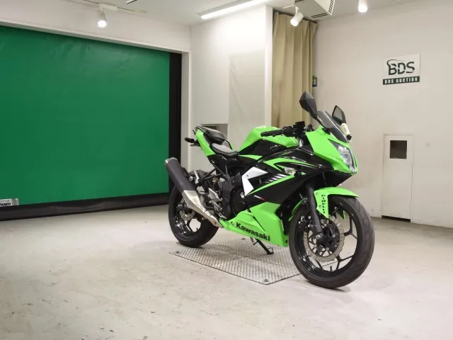 Kawasaki Ninja 250SL, black | green, фото 3