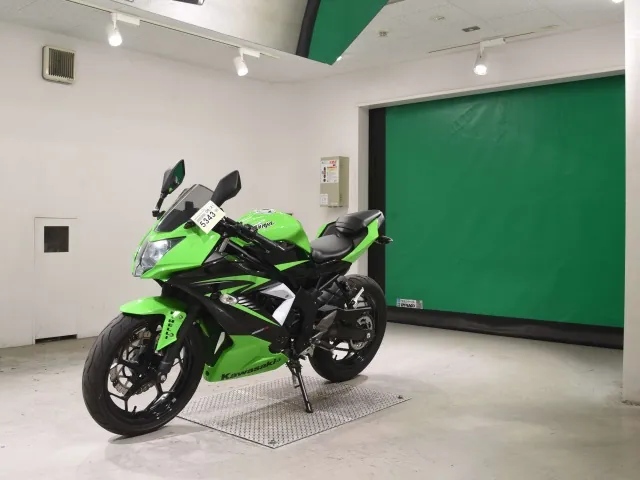 Kawasaki Ninja 250SL, black | green, фото 4