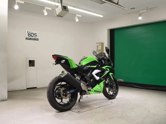Kawasaki Ninja 250SL, black | green, фото 5