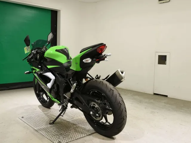 Kawasaki Ninja 250SL, black | green, фото 6