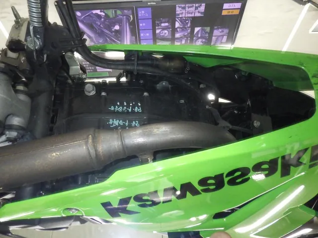 Kawasaki Ninja 250SL, black | green, фото 7