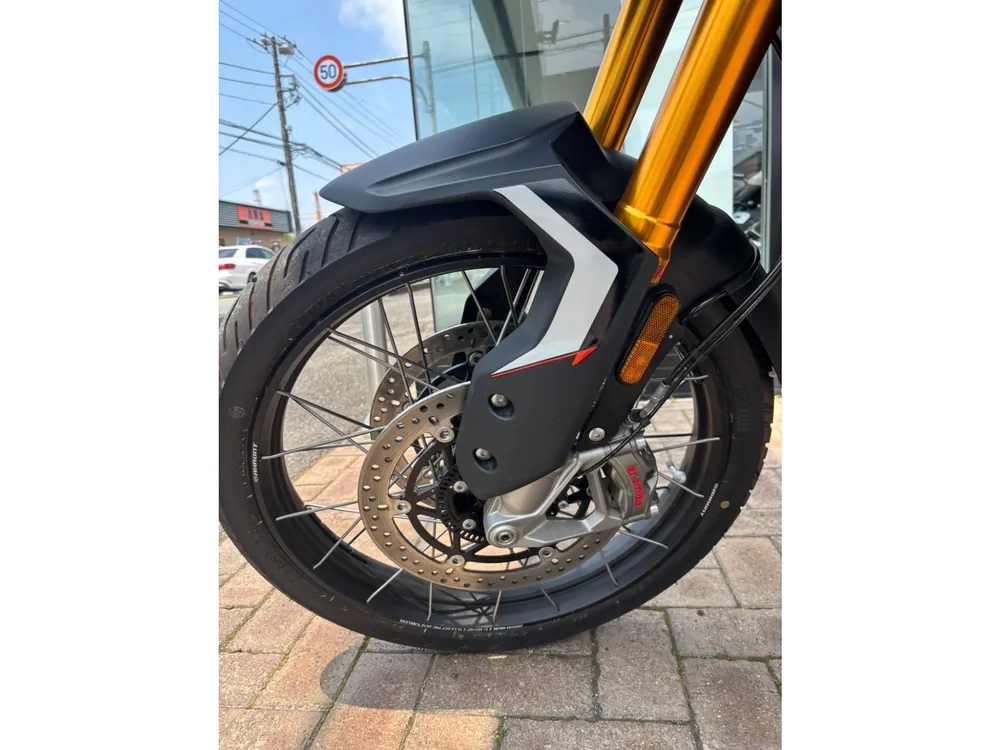 Triumph Tiger 900 Rally Pro 2025, серый, фото 11