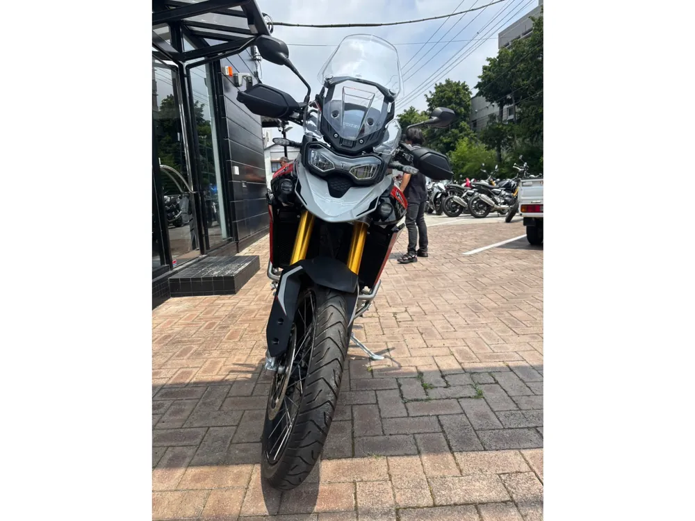 Triumph Tiger 900 Rally Pro 2025, серый, фото 18