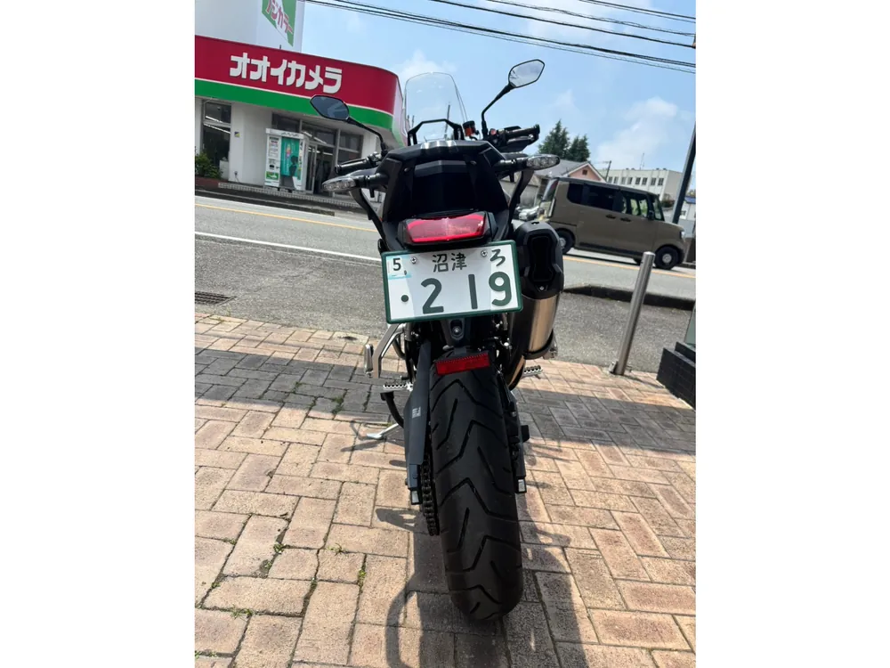 Triumph Tiger 900 Rally Pro 2025, серый, фото 19