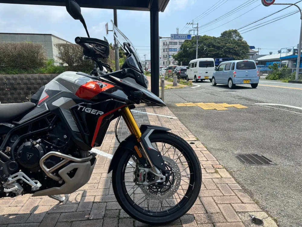 Triumph Tiger 900 Rally Pro 2025, серый, фото 3
