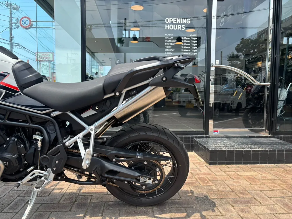 Triumph Tiger 900 Rally Pro 2025, серый, фото 6