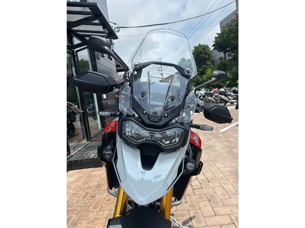 Triumph Tiger 900 Rally Pro 2025, серый, фото 9
