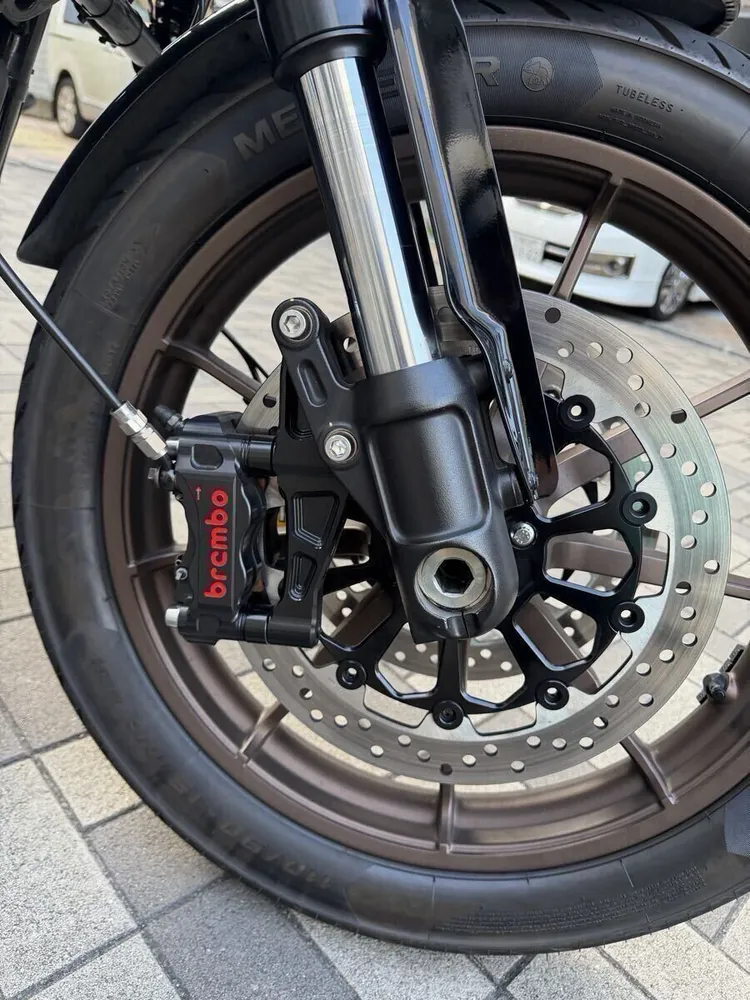 Harley-Davidson Softail 2021, фото 8