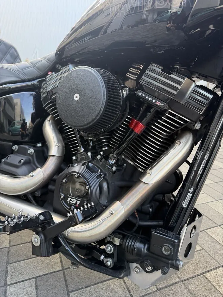 Harley-Davidson Softail 2021, фото 9