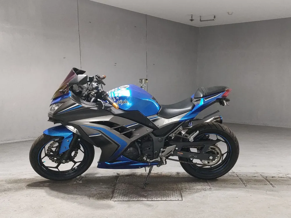 Kawasaki Ninja 250, gray / blue, фото 2