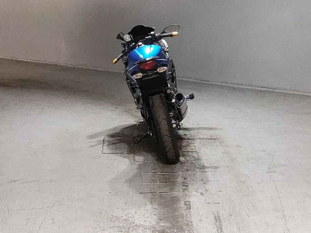 Kawasaki Ninja 250, gray / blue, фото 4