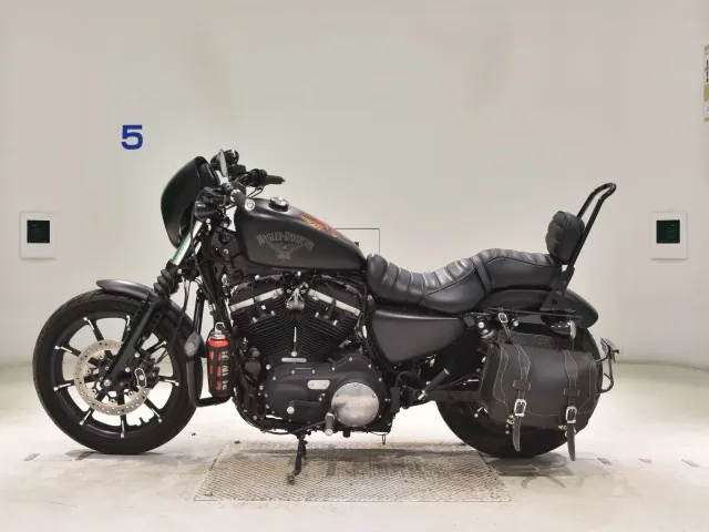 Harley-Davidson XL883N 2015, matt black, фото 2