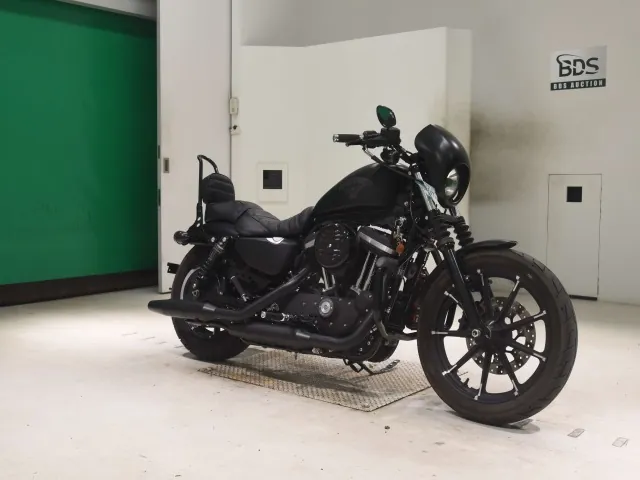 Harley-Davidson XL883N 2015, matt black, фото 3