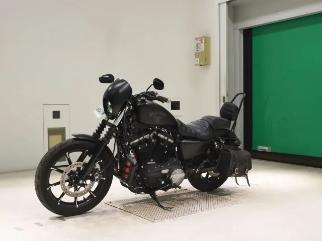 Harley-Davidson XL883N 2015, matt black, фото 4