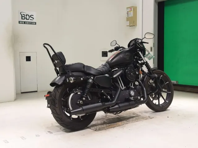 Harley-Davidson XL883N 2015, matt black, фото 5