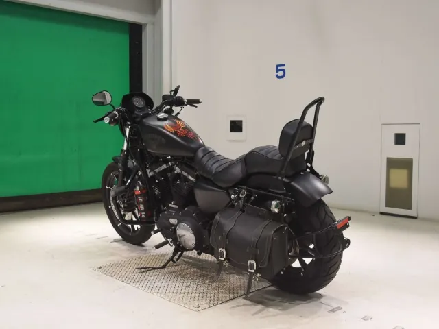 Harley-Davidson XL883N 2015, matt black, фото 6