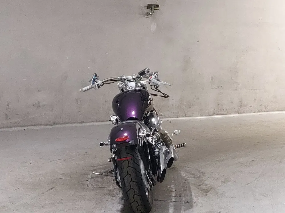 Yamaha Drag Star 1999, фиолетовый, фото 4